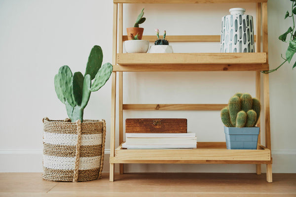 The Timeless Charm and Versatility of Wooden Shelves: A Stylish Additi – The Canadian Table Company