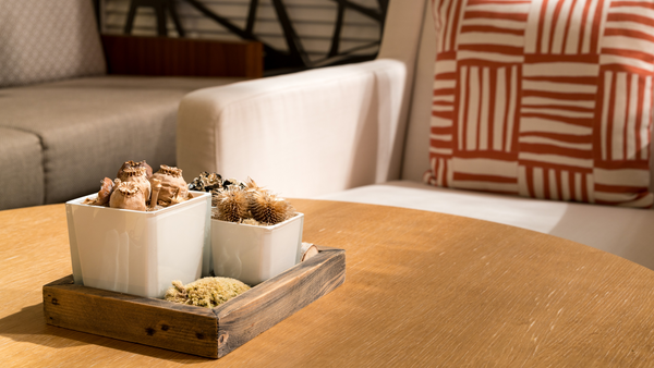 Discover the Perfect Canadian Coffee Table for Your Home Décor – The ...